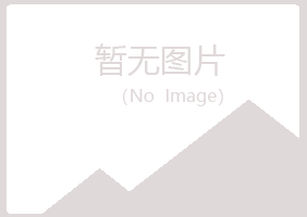 上海长宁女孩会计有限公司